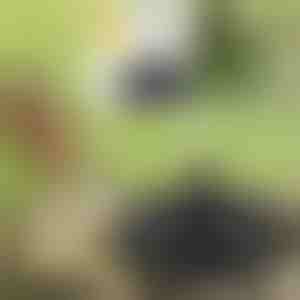 Oživte svoju záhradu so solárnou magickou fontánou | FONTANA