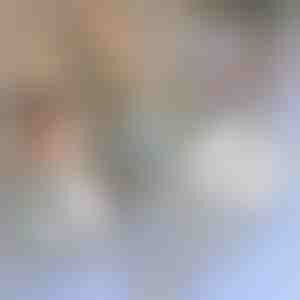 Opravná páska na moskytiéry | INSECTAPE