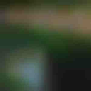 Solárne vonkajšie svetlá v tvare motýľov | FLUTIX