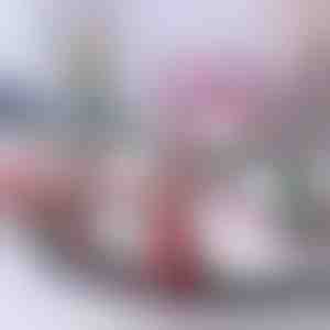 Vianočný vlak | TRAINMAS