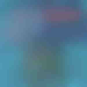 Rýchloschnúce plavky | TOGGIES