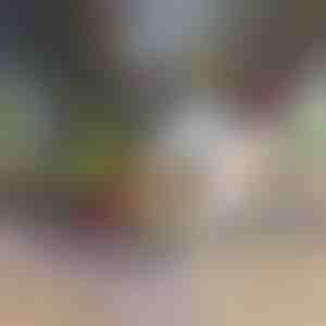 Sekáčik a krájač zeleniny 12 v 1 | CHOPMASTER