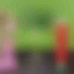 Organické hnojivo v tabletách s pomalým uvoľňovaním | FERTIGROW