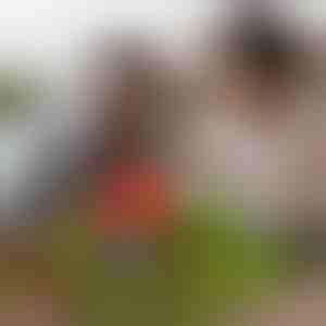 Magnetické minikocky (48 ks) | MAGCRAFTI