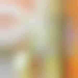 Viacúčelový sekáčik | SLICEWISE