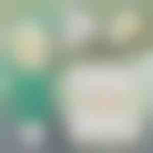 Rýchle riešenie na opravu stien | WALLFIX