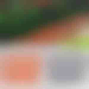 Oplotenie s tehlovým vzhľadom | TERRABARIC