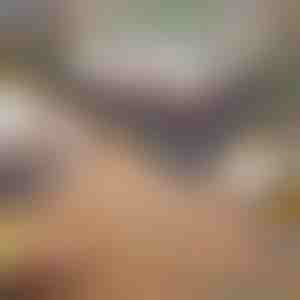 Skladací prenosný gril | GRILLOMATE