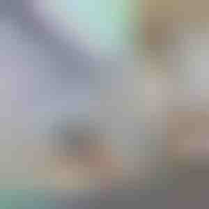 Dekoratívne okenné fólie na ochranu súkromia | PRISMWRAP