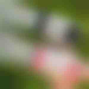 69-dierková LED bublifuková pištoľ | BUBBLEPUFF