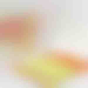 Čistič žalúzií, ktorý skracuje čas na polovicu | BLINDY