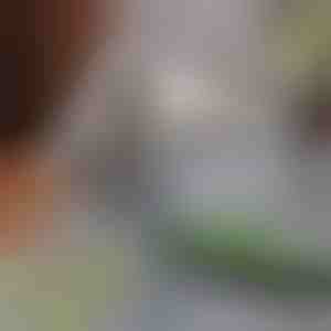 Mop na odstraňovanie chlpov domácich zvierat | PAWMOP