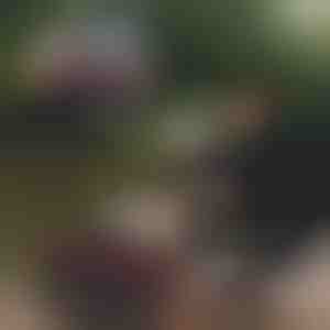 Skladacie rybárske vedro | RIBETINA