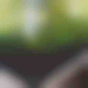 Látkový vyvýšený záhradný záhon | FLORAISE