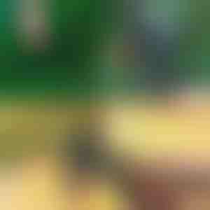 Profesionálne 2-v-1 nožnice na rezanie a štepenie | MASTERCUT