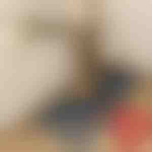 Kuchynská rohož | CHEFMAT