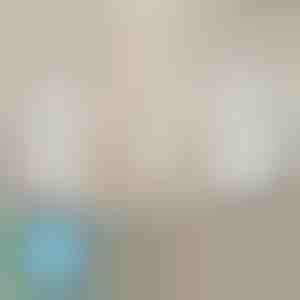 Držiaky na listy, ktoré sa nikdy nešmýkajú (4ks) | EVOHOLD