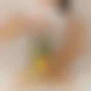 Krájač ananásov, ktorý pracuje bez námähy | PINECUT