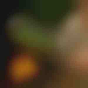 Otočný grilovací kôš | ROLOGRILL