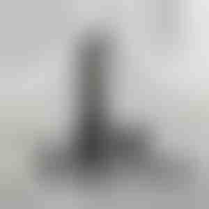 Univerzálny zastrihávač na úpravu vzhľadu | SHAVIX