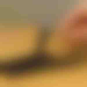 10-dielna sada vytahovákov skrutiek pre poškodené skrutky | SCREWX