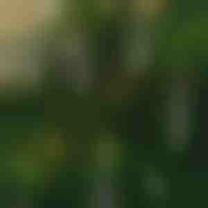 Bezplameňové blikajúce sviečky (6 ks) | CANDLEA