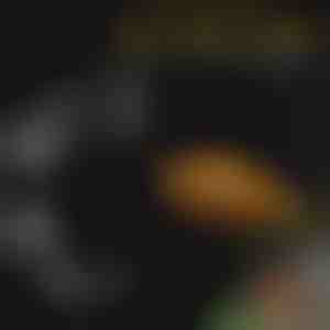 Súprava kŕmnych misiek do akvária | FINTROL