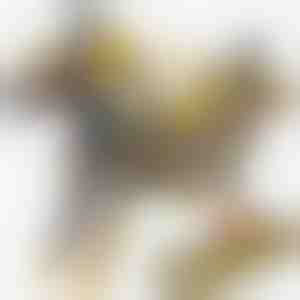 Magnetická hračka – dinosaurus a auto | ROARWHEEL