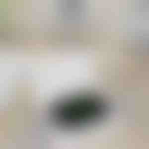 Bezdrôtová nabíjačka pre Apple Watch | WATCHBANK