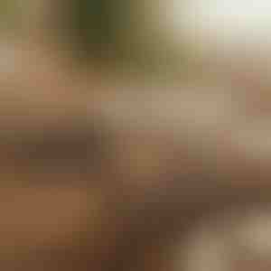 Magnetický samolepiaci organizér káblov (12 kusov) | CABLIP