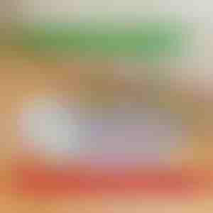 Znovupoužiteľné nepriepustné podložky pre šteniatka | PAWSORB