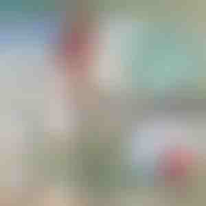 Teleskopický kovový hák na loď | FASTDOCK