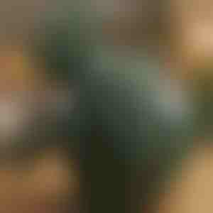 Vyhrievaný masážny prístroj na shiatsu | MASSORA